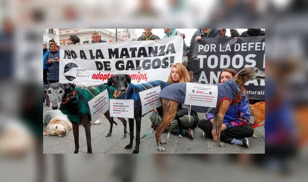 La finalidad de la protesta es que se cree una ley de protección animal. (Foto: RTVE) La finalidad de la protesta es que se cree una ley de protección animal. (Foto: RTVE)