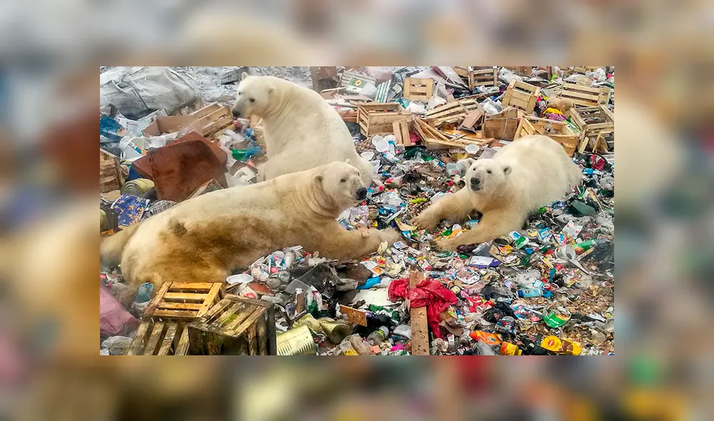 El incremento de la temperatura de la Tierra jamás había sido tan global como en esta época, advierten. Foto: Alexander Grir/AFP El incremento de la temperatura de la Tierra jamás había sido tan global como en esta época, advierten. Foto: Alexander Grir/AFP