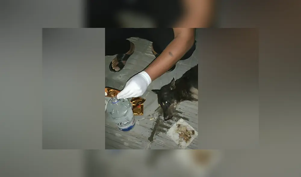 Desliza hacia la izquierda para ver las imágenes del viral de YouTube.