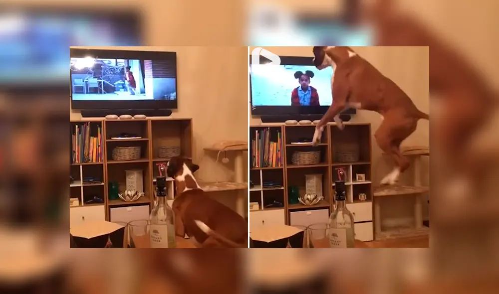 Desliza para ver los momentos más tierno del video que se hizo viral en Facebook. Desliza para ver los momentos más tierno del video que se hizo viral en Facebook.