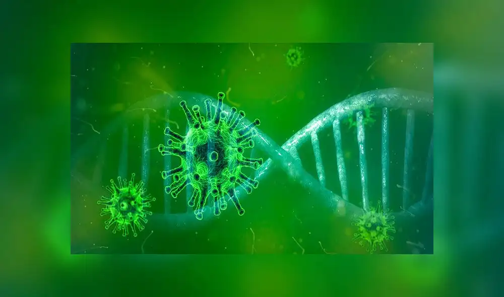 El coronavirus SARS-CoV-2 es estudiado en múltiples países. Foto: Pixabay El coronavirus SARS-CoV-2 es estudiado en múltiples países. Foto: Pixabay