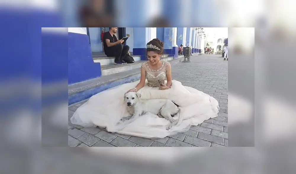 Desliza las imágenes para observar la acción de un perro al percatarse que una joven tenía una sesión de fotos.