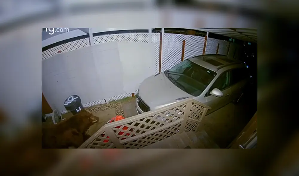 Desliza hacia la izquierda para ver las imágenes del viral de Facebook. Foto: Captura.