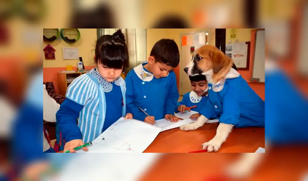 La tierna historia de este perro rescatado se hizo viral en Facebook. La tierna historia de este perro rescatado se hizo viral en Facebook.