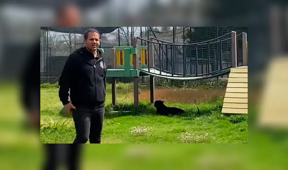 Desliza hacia la izquierda las imágenes que muestran el momento en que el feroz depredador ataca a su cuidador. Imágenes son virales en YouTube.