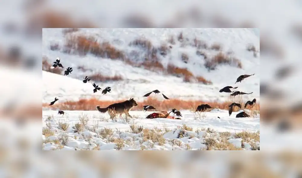 Desliza hacia la izquierda para ver las impactantes imágenes del video viral de Facebook.