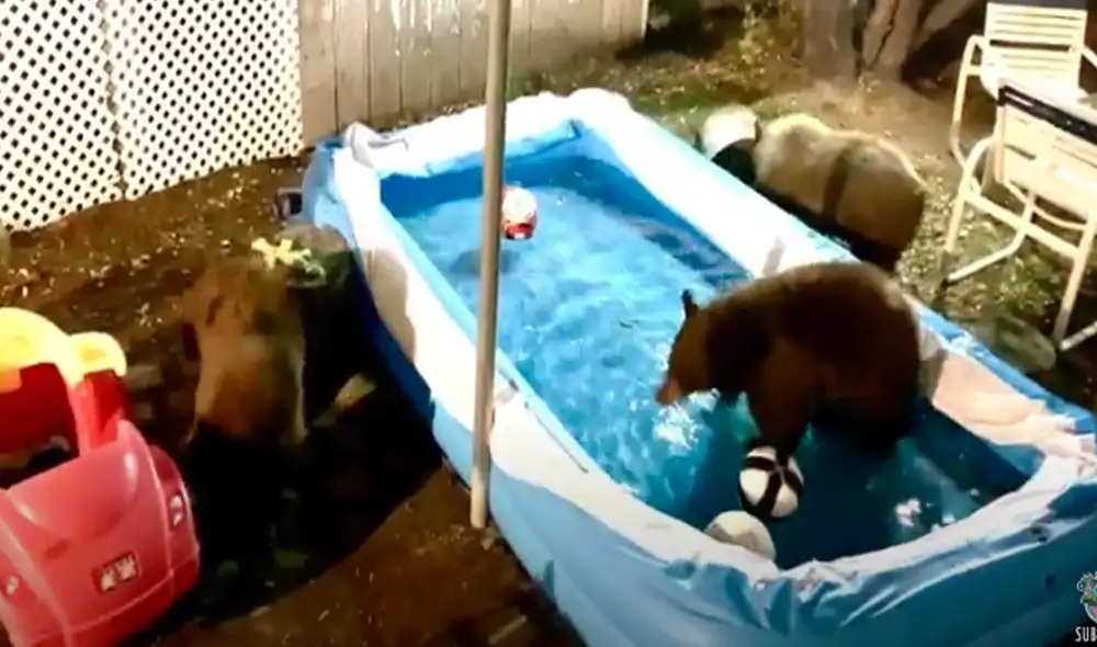 Desliza hacia la izquierda para ver las imágenes del video viral. Foto: Captura de YouTube. Desliza hacia la izquierda para ver las imágenes del video viral. Foto: Captura de YouTube.