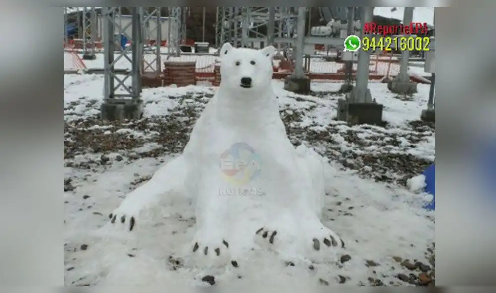 Facebook: pasajeros varados aprovechan la nieve para crear muñecos y comparten fotos en las redes