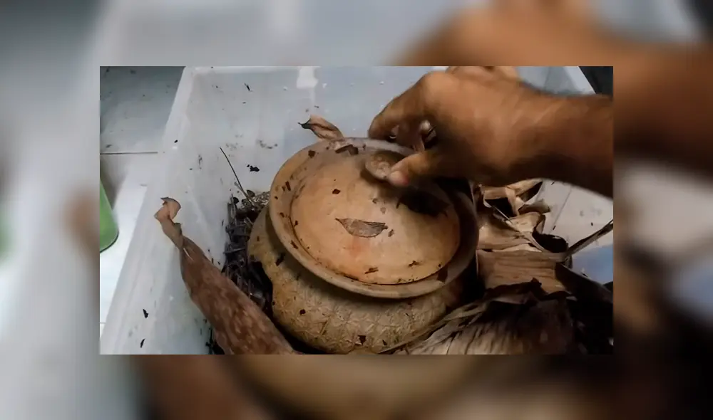 Desliza hacia la izquierda para ver a la gigantesca serpiente que fue hallada dentro de un olla de barro. El video se volvió viral en YouTube.