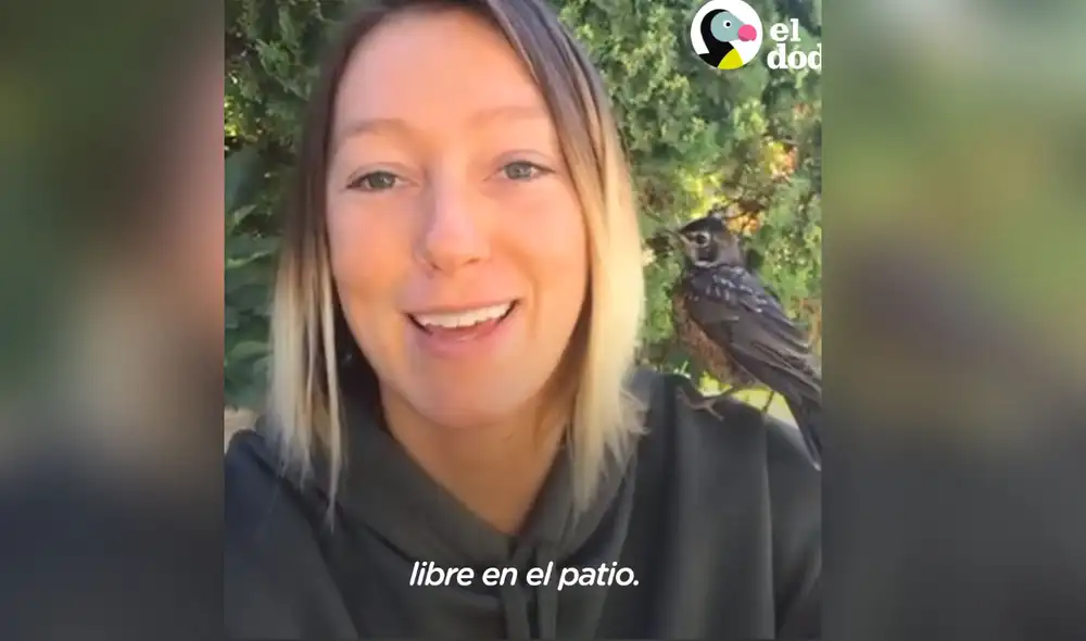 La joven ayudó a que el ave pueda recuperarse y para que luego pueda valerse por sí misma. Foto: El Dodo / Facebook