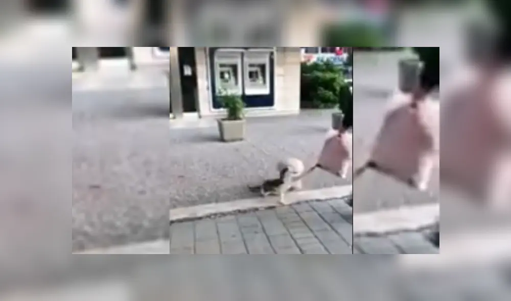 Desliza hacia la izquierda para ver más del video viral Desliza hacia la izquierda para ver más del video viral