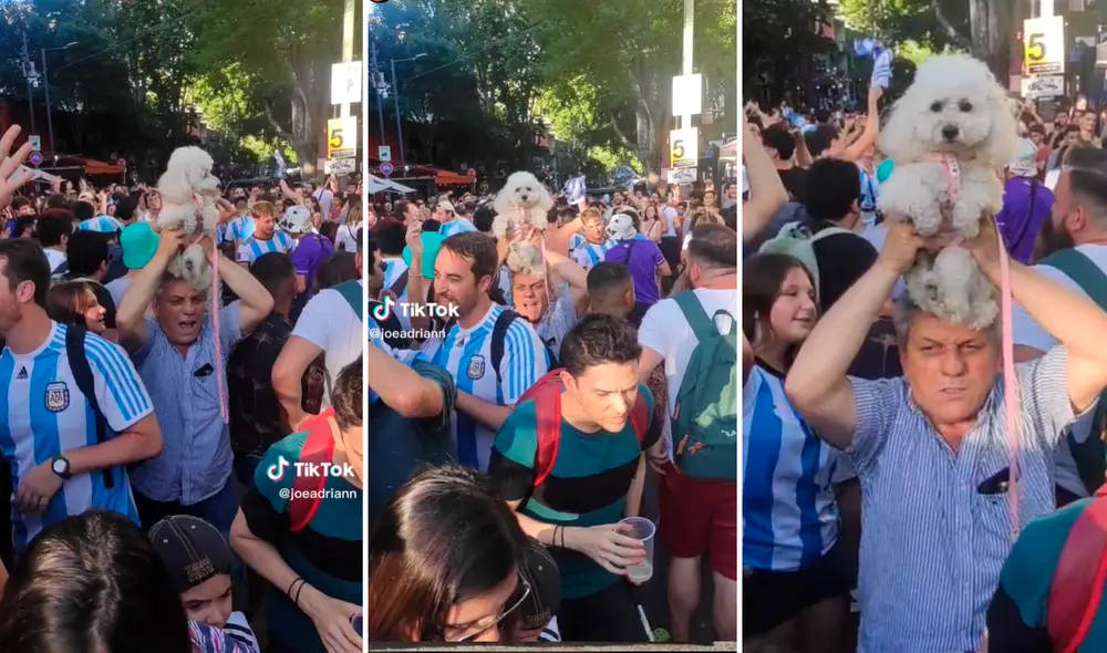 El hombre no resistió unirse a la celebración con su mascota ante el triunfo argentino. Foto: composición La República/captura de TikTok/@Joeadriann El hombre no resistió unirse a la celebración con su mascota ante el triunfo argentino. Foto: composición La República/captura de TikTok/@Joeadriann