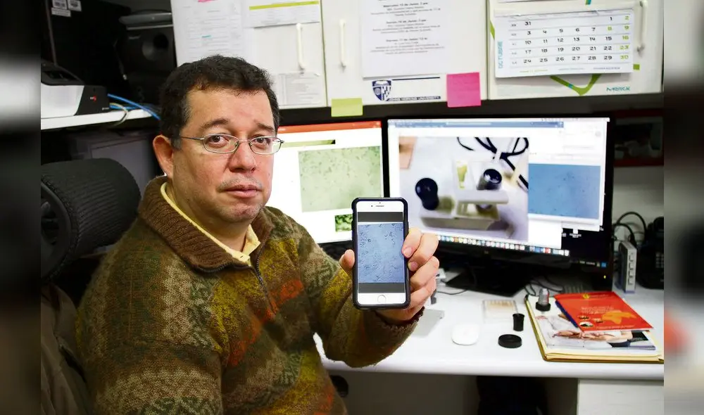 SEDE DE GOOGLE EN BELO HORIZONTE BRASIL 2016 EN LA IMAGEN MIRKO ZIMIC SEDE DE GOOGLE EN BELO HORIZONTE BRASIL 2016 EN LA IMAGEN MIRKO ZIMIC