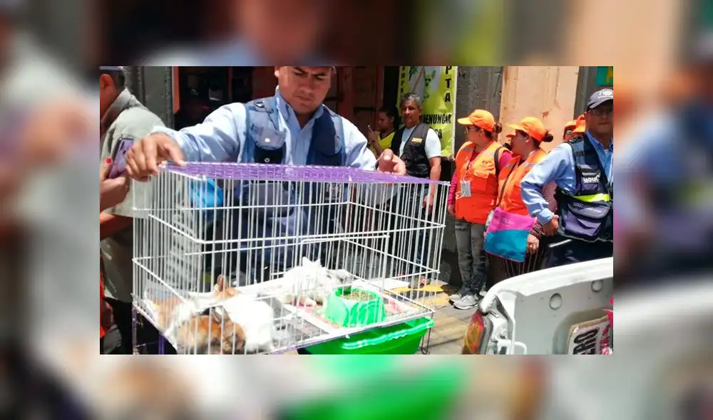 Cercado de Lima: rescatan a más de cien mascotas maltratadas en Mercado Central [FOTOS y VIDEO]