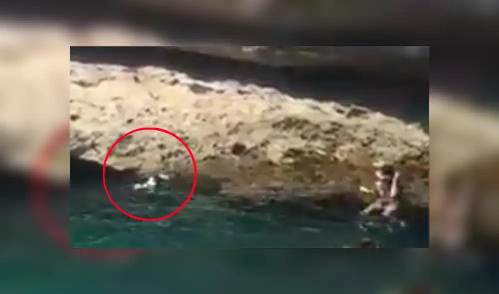 Facebook viral: Perro ve a su amo lanzarse a lago y realiza valiente sacrificio para salvarlo [VIDEO] 