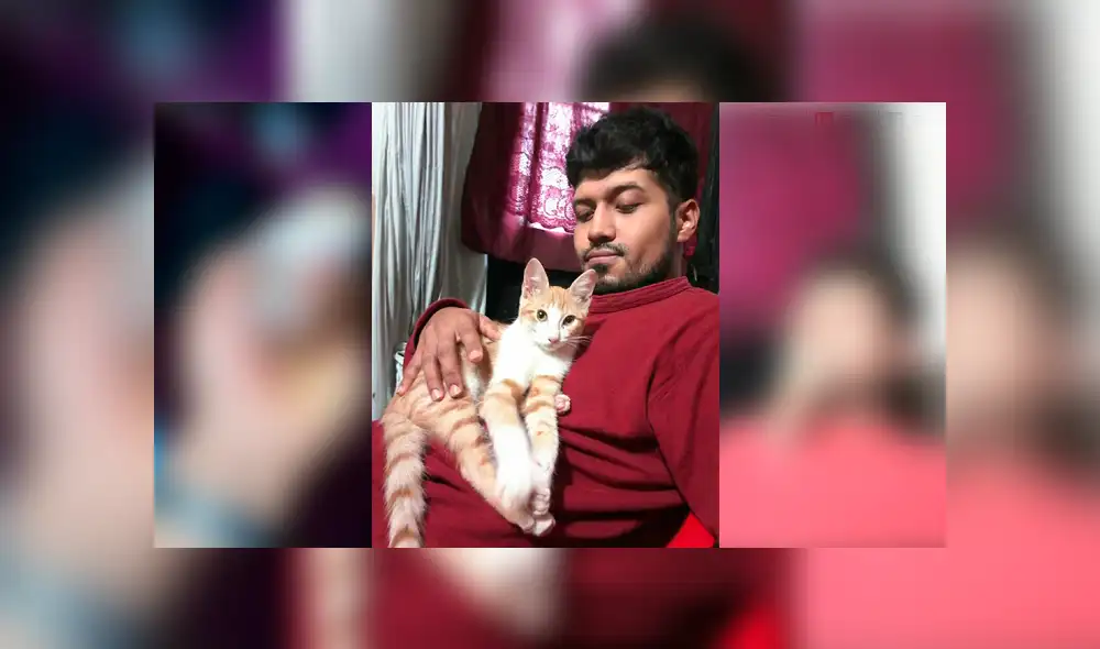 Desliza para ver el radical cambio de este gatito que enamoró a miles en Facebook. Foto: Captura.