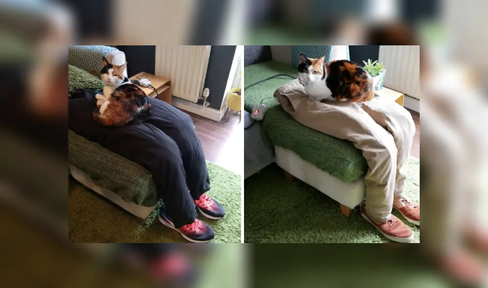 Desliza hacia la izquierda para ver más imágenes de esta escena que se hizo viral en Facebook. Desliza hacia la izquierda para ver más imágenes de esta escena que se hizo viral en Facebook.