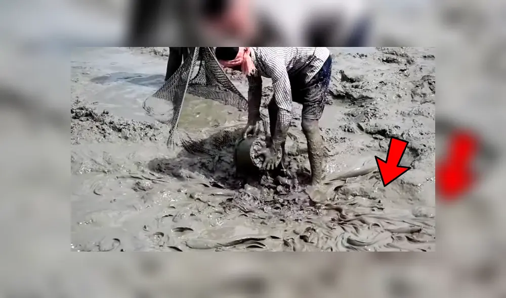 YouTube viral: ingresa descalzo a misterioso lodo y encuentra miles de extrañas criaturas moribundas YouTube viral: ingresa descalzo a misterioso lodo y encuentra miles de extrañas criaturas moribundas