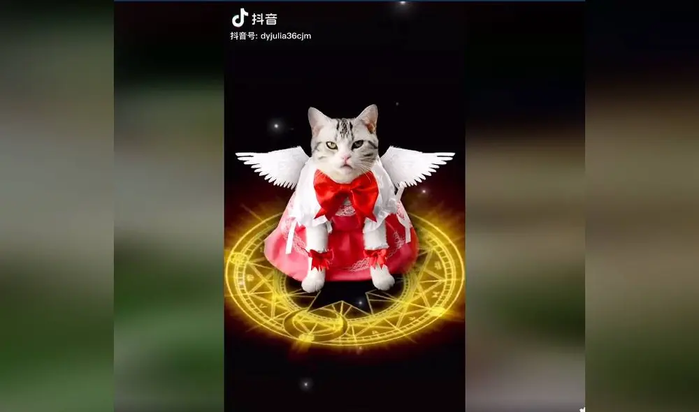 Desliza para ver las imágenes del viral de Facebook. Foto: Captura/TikTok