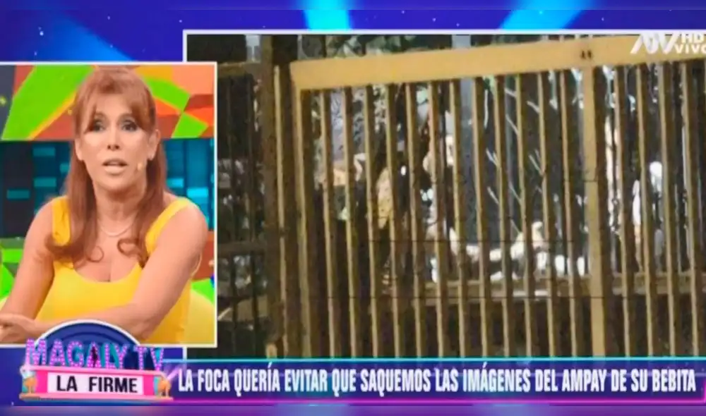 Magaly confesó en vivo que Farfán quiso censurar el ampay de Ivana y Mario