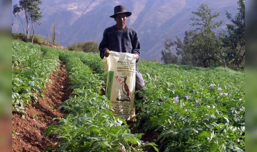 Ley de Promoción Agraria Ley de Promoción Agraria