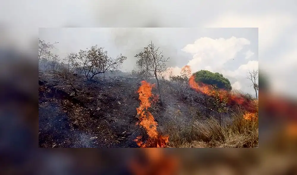 Voraces. Incendios forestales no dan tregua a región imperial Voraces. Incendios forestales no dan tregua a región imperial