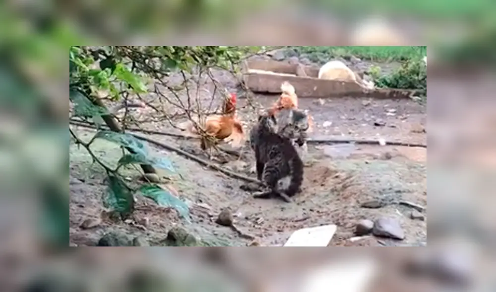 Desliza la imagen de TikTok para verlas todas. Foto: jessicamirandamen Desliza la imagen de TikTok para verlas todas. Foto: jessicamirandamen