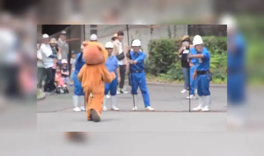 Trabajador de un zoológico ingresó al santuario de leones. Trabajador de un zoológico ingresó al santuario de leones.