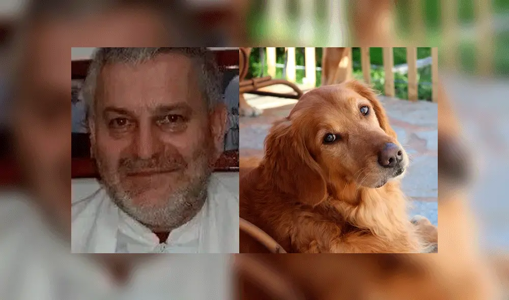 El llamado "padre Casimiro" abandonó el lugar tras herir al animal. Foto: composición / Paco Zea / Pixabay. El llamado "padre Casimiro" abandonó el lugar tras herir al animal. Foto: composición / Paco Zea / Pixabay.