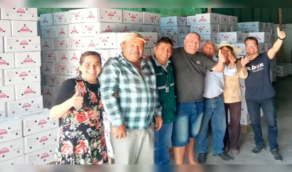 Ajo de Arequipa conquista el norte de Brasil