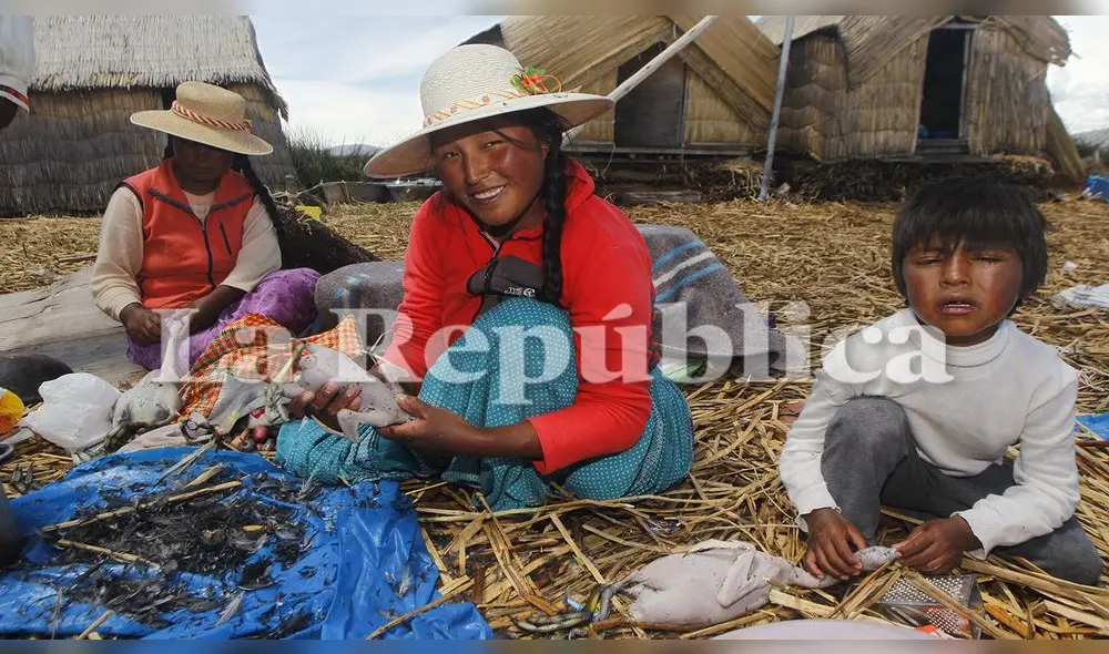 Volvieron a la caza de animales para poder alimentarse. Volvieron a la caza de animales para poder alimentarse.