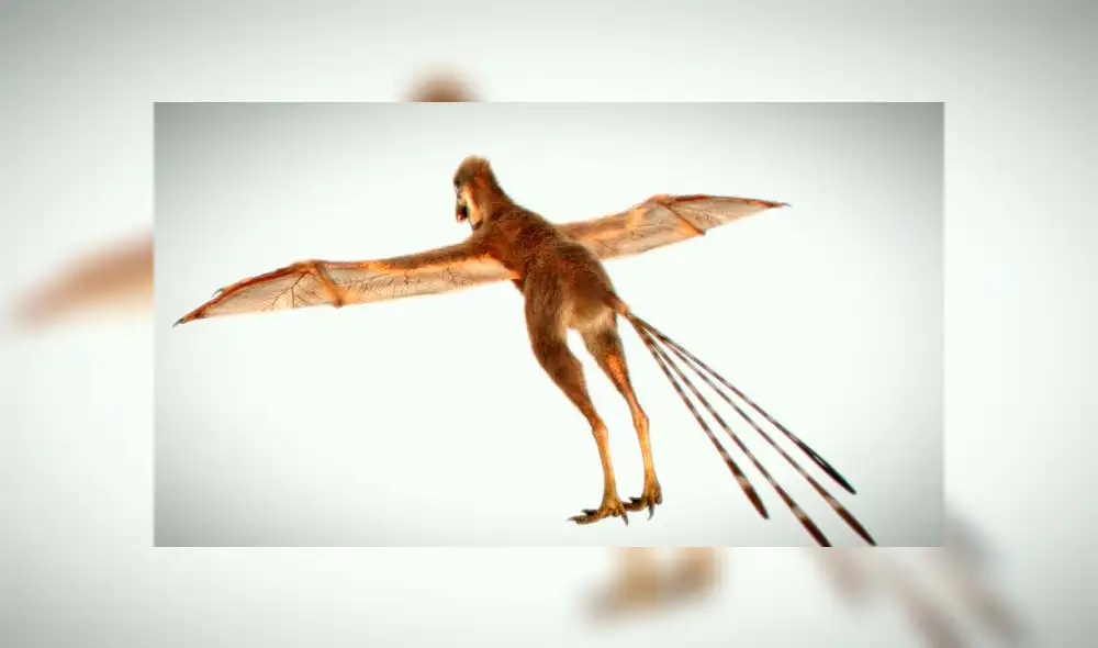 YouTube viral: Extraña criatura parecido a un dinosaurio sorprende en redes sociales [VIDEO]