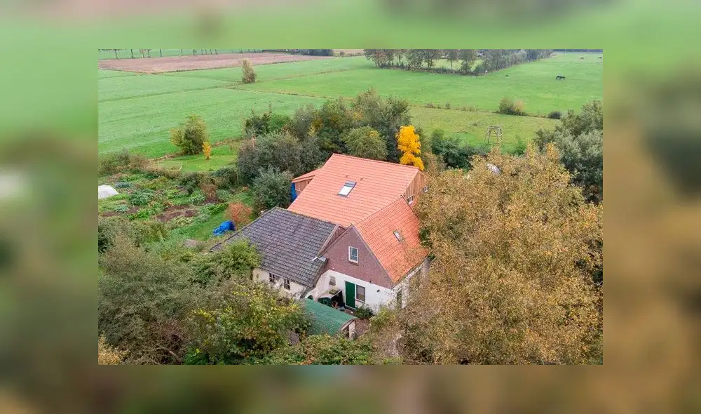 La familia permaneció oculta en un sótano en Ruineworld, noroeste de Países Bajos (Holanda). Foto: AFP.