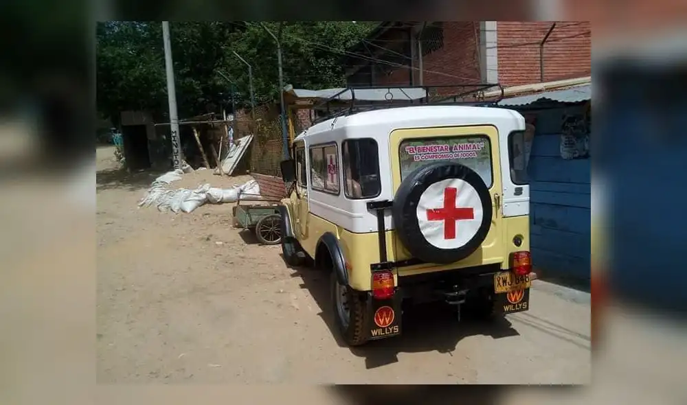 Una ambulancia para animales abandonados: el admirable proyecto de un veterinario colombiano 