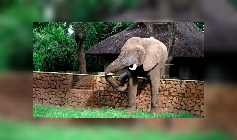 Desliza para ver los momentos más sorprendentes del video que se hizo viral en YouTube. Desliza para ver los momentos más sorprendentes del video que se hizo viral en YouTube.