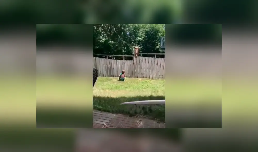 Desliza las imágenes hacia la izquierda para apreciar el amoroso momento que protagonizó un niño junto a un perro. Desliza las imágenes hacia la izquierda para apreciar el amoroso momento que protagonizó un niño junto a un perro.