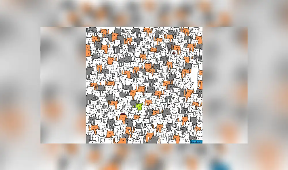 Facebook viral: halla al conejo escondido entre varios gatos, el reto visual que casi nadie puede superar Facebook viral: halla al conejo escondido entre varios gatos, el reto visual que casi nadie puede superar