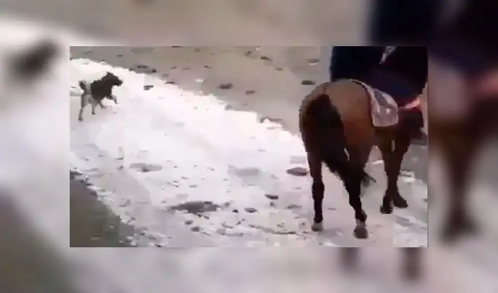 Foto: Referencial Foto: Referencial