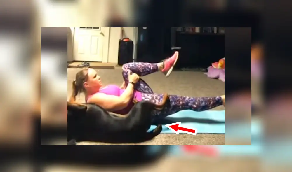 Facebook viral: captan a perro copiando ejercicios de su dueña y enternece a miles [VIDEO] 