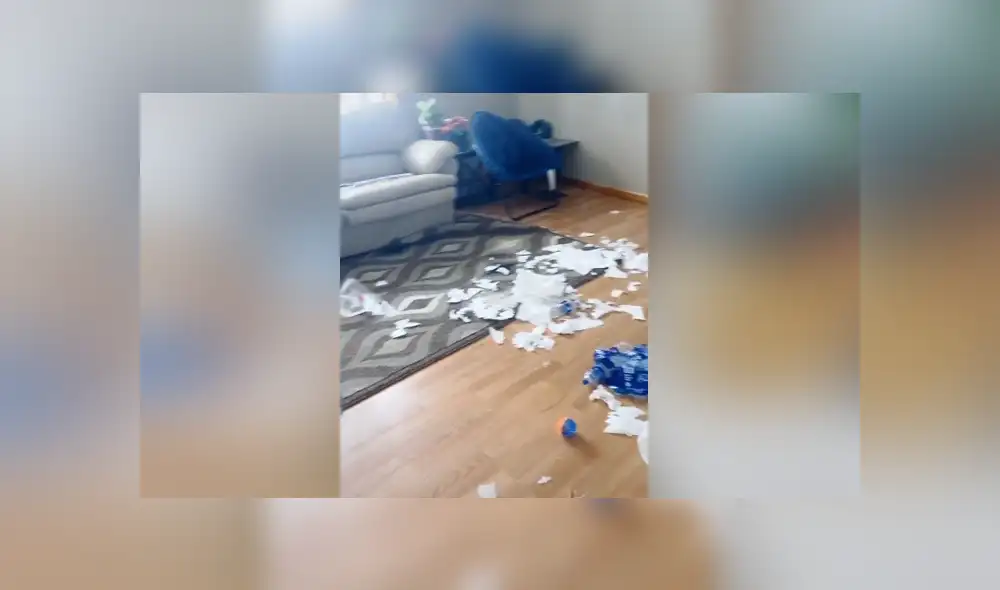 A través de TikTok se hizo viral el momento en que una mujer encuentra todo el destrozó que había hecho su perro.