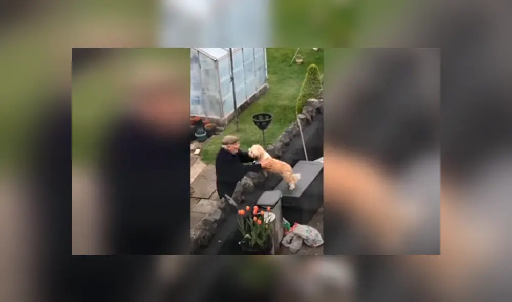 Desliza las imágenes para apreciar el amoroso momento entre un perro y su vecino durante la cuarentena.