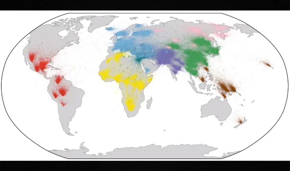 El árbol genealógico, construido a partir de miles de genomas humanos, nos permite conocer la evolución y el desplazamiento de nuestra especie a través de la historia. Foto: captura de Youtube / Wilder Wohns (2022) El árbol genealógico, construido a partir de miles de genomas humanos, nos permite conocer la evolución y el desplazamiento de nuestra especie a través de la historia. Foto: captura de Youtube / Wilder Wohns (2022)