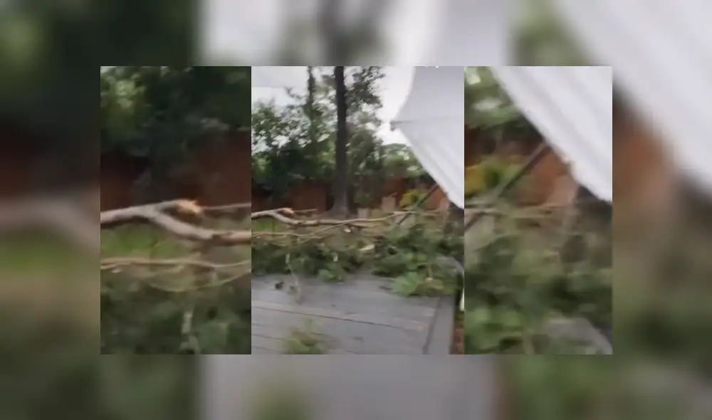 Video es viral en Facebook. Joven salió al jardín de su casa para bailar en plena tormenta, sin imaginar el intempestivo incidente que estaría a punto de sufrir. Video es viral en Facebook. Joven salió al jardín de su casa para bailar en plena tormenta, sin imaginar el intempestivo incidente que estaría a punto de sufrir.