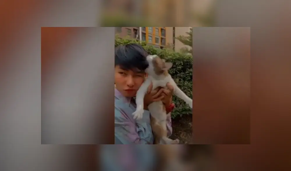 Video es viral en Facebook. Felino espantó al joven, luego de que este lo cargara para sacarse una ‘tierna’ fotografía.