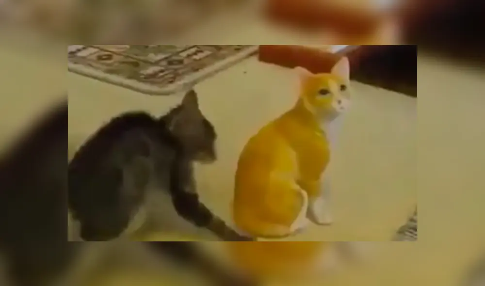 En YouTube, un joven compró un adorno en forma de gato para su casa y su mascota lo agarró para jugar. En YouTube, un joven compró un adorno en forma de gato para su casa y su mascota lo agarró para jugar.