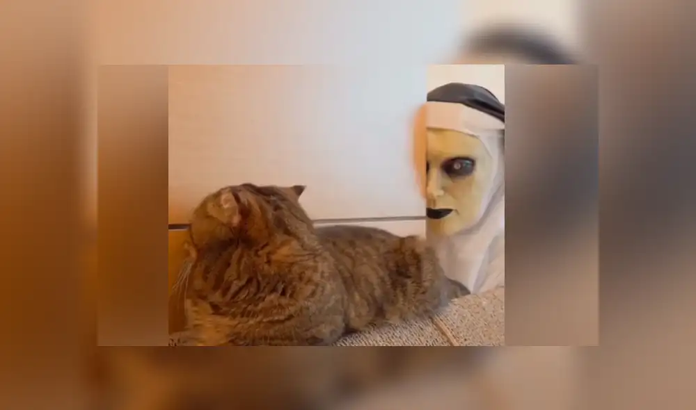 Facebook vira: chica se disfraza de ‘La Monja’ para asustar a su gato, sin imaginar la reacción que tendría el felino
