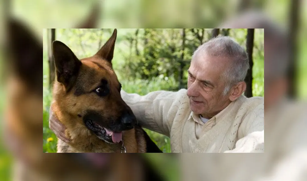 Tener un perro te ayuda a vivir mejor y por más años, revela estudio [VIDEO]