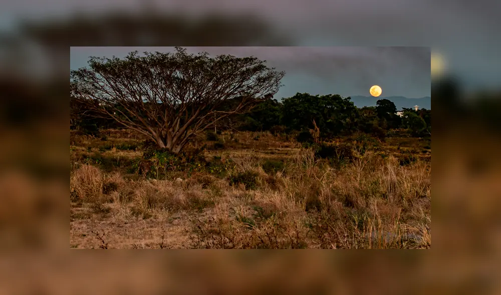 Luna rosada saliendo en Villa Álvarez, Colima. Foto: Raúl Arambula