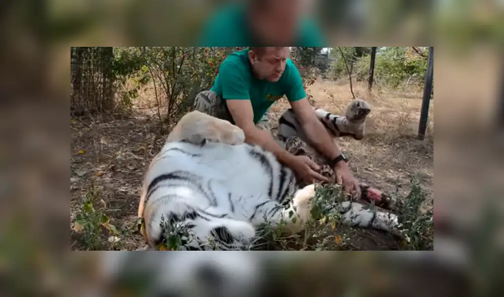 Desliza hacia la izquierda para ver las escenas del video viral de YouTube.