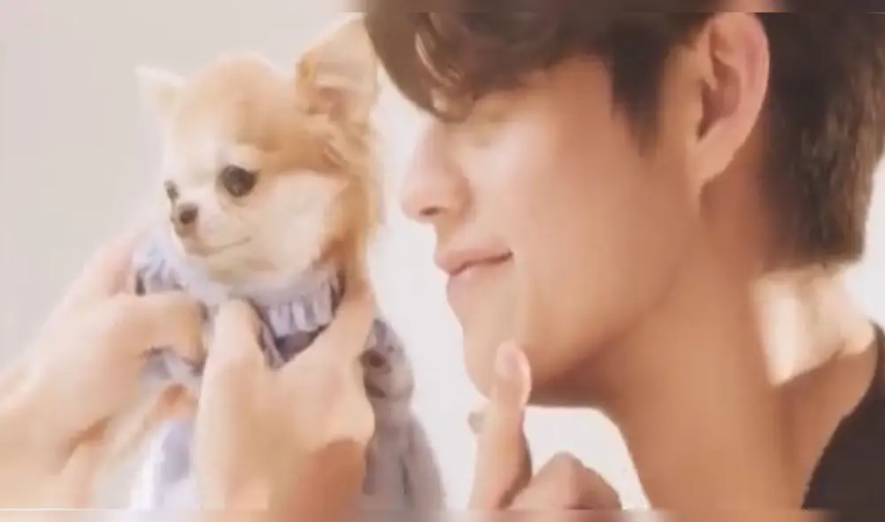 Desliza para ver más imágenes del MV "Yang Koo gun" de Still 2gether. Créditos: GMMTV